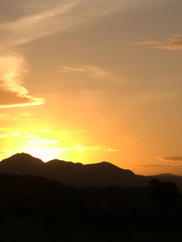 Golden savannah at sunset, Kidepo Valley National Park, Uganda