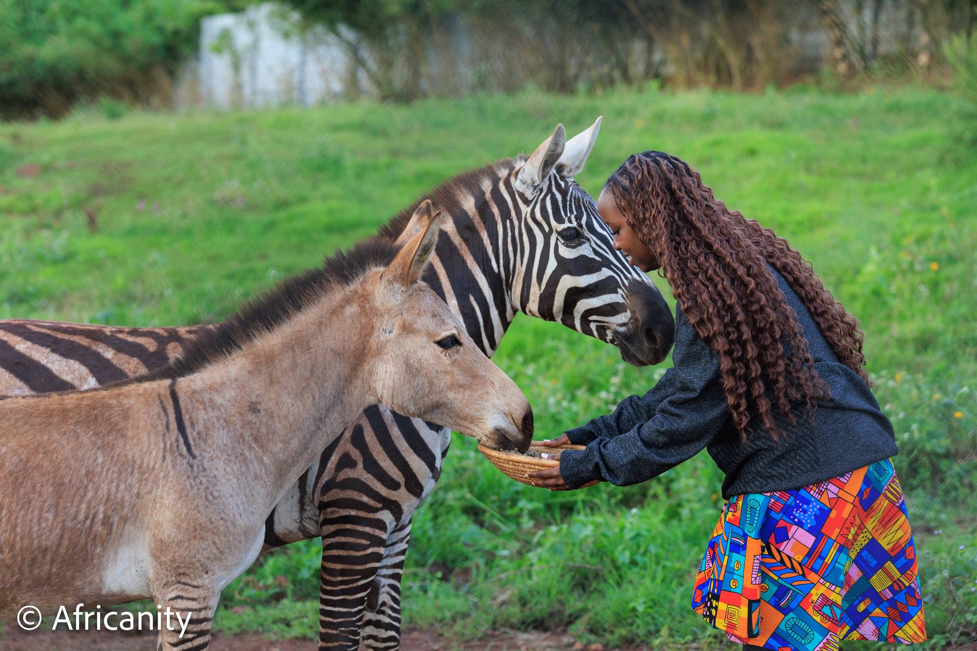 The Rift Valley Explorer safari journey photo 28