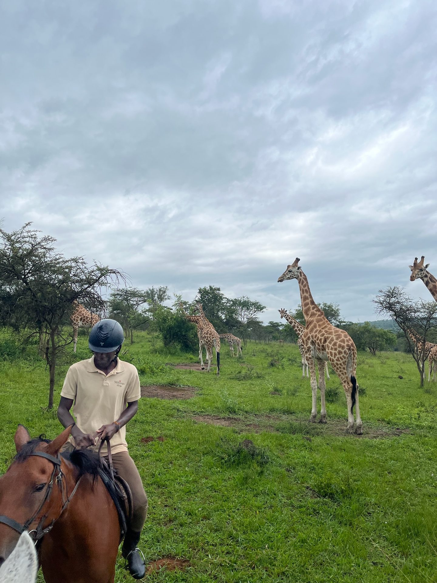 The Rift Valley Explorer safari journey photo 50