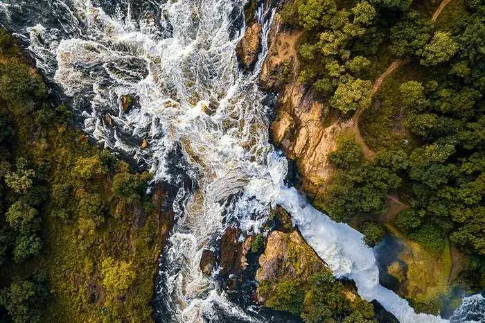Wildlife in Uganda during the dry season at Murchison Falls National Park