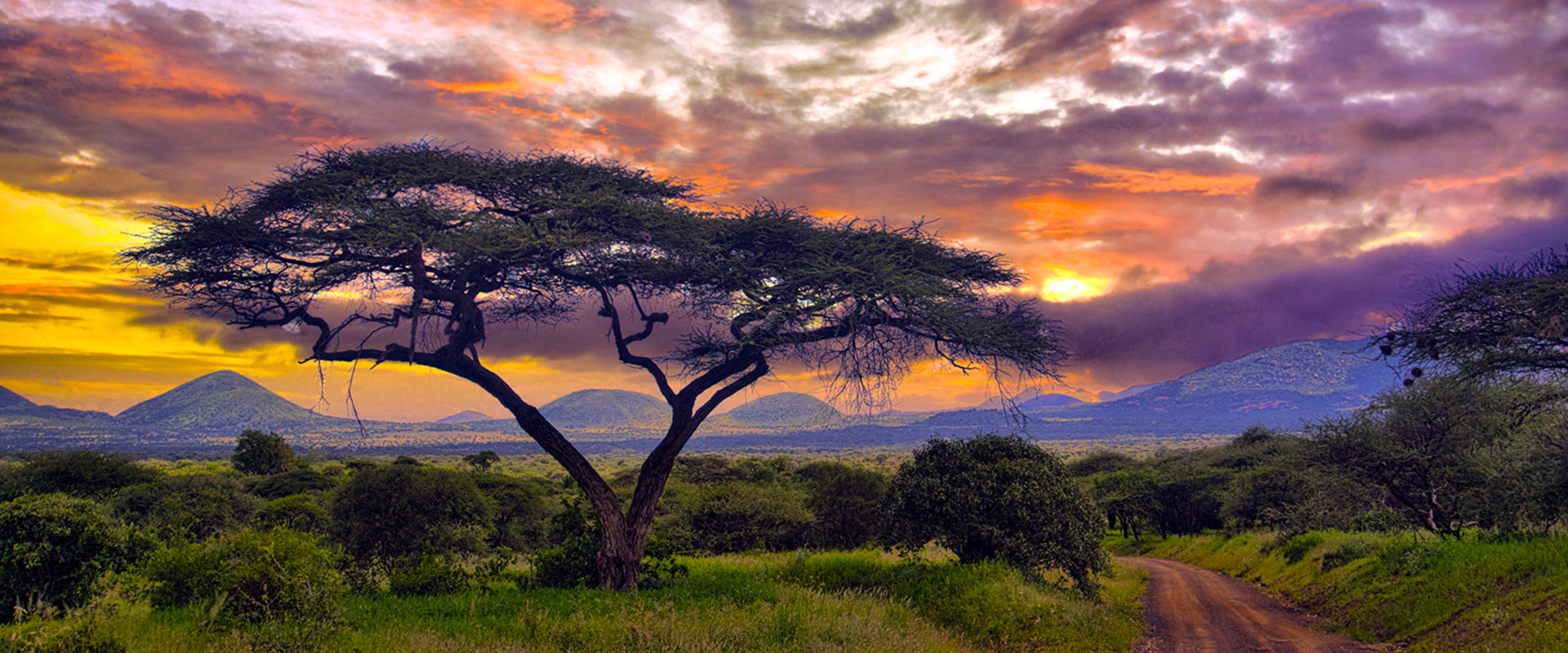 colorful-sunset-with-vegetation-and-hills-in-the-background