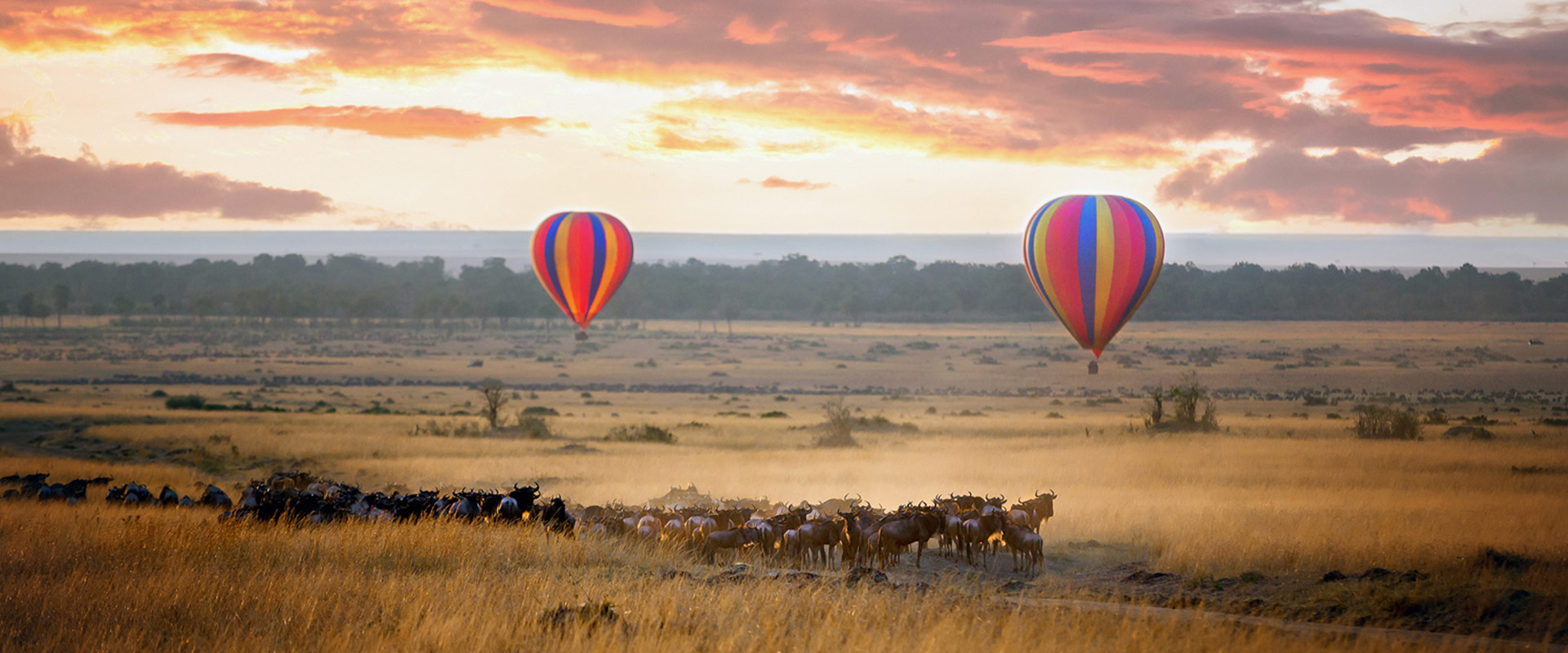 hot-air-balloon-in-the-savana-with-wilderbeasts